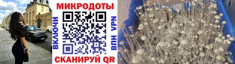 мориарти состав  блэк спрут ссылка  Цивильск  закладки  Галлюциногенные грибы ЛСД 