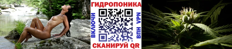МАРИХУАНА планчик  Цивильск 